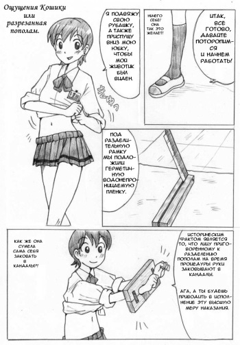 Koshiki Experience cover