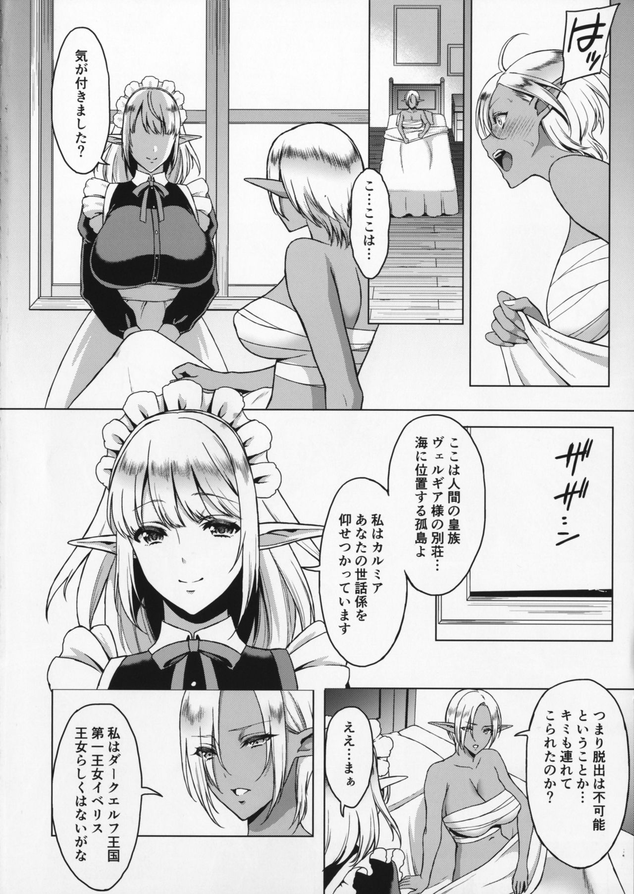 Reizoku Elf Maid + C91 Kaijou Genteibon page 3 full