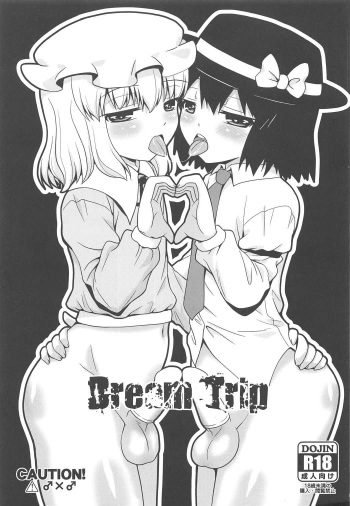 Dream Trip cover