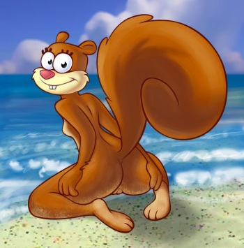 best of sandy cheeks cover