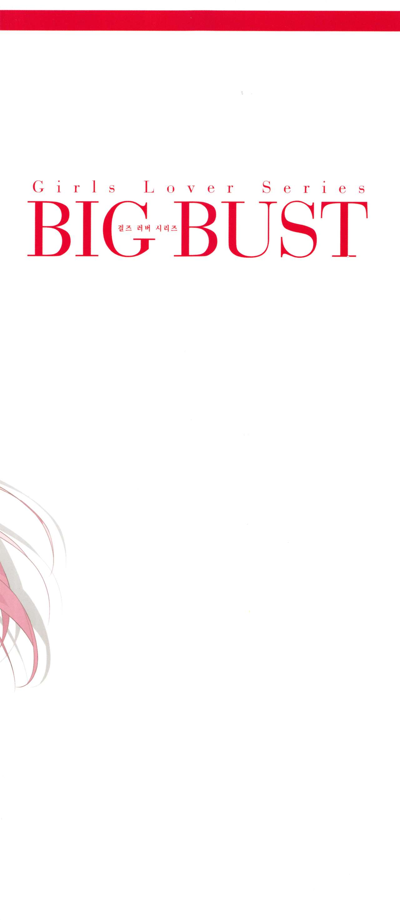 Girls Lover Series BIG BUST Vol.1 page 2 full