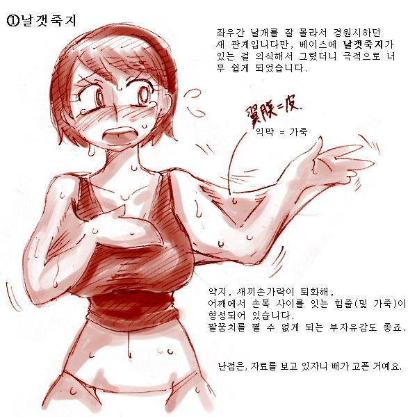 Tori TF ni Kansuru Kousatsu to Renshuu | Study and practice about bird TF page 2 full