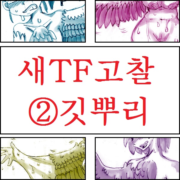 Tori TF ni Kansuru Kousatsu to Renshuu | Study and practice about bird TF page 6 full