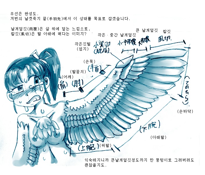 Tori TF ni Kansuru Kousatsu to Renshuu | Study and practice about bird TF page 7 full