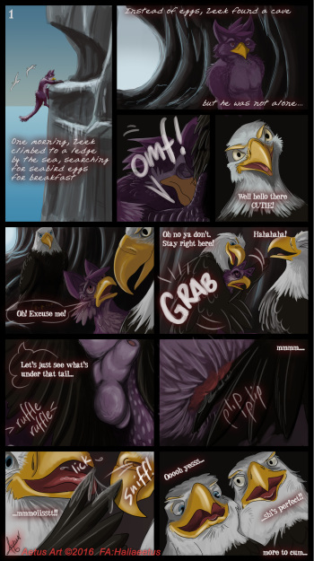 Zeek Finds an Eagle Eyrie cover