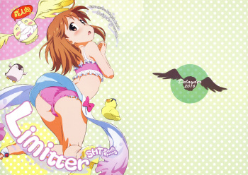 Limitter 2016 SHT spring cover