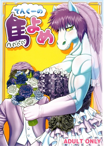 Tenkuu no Uma Yome cover