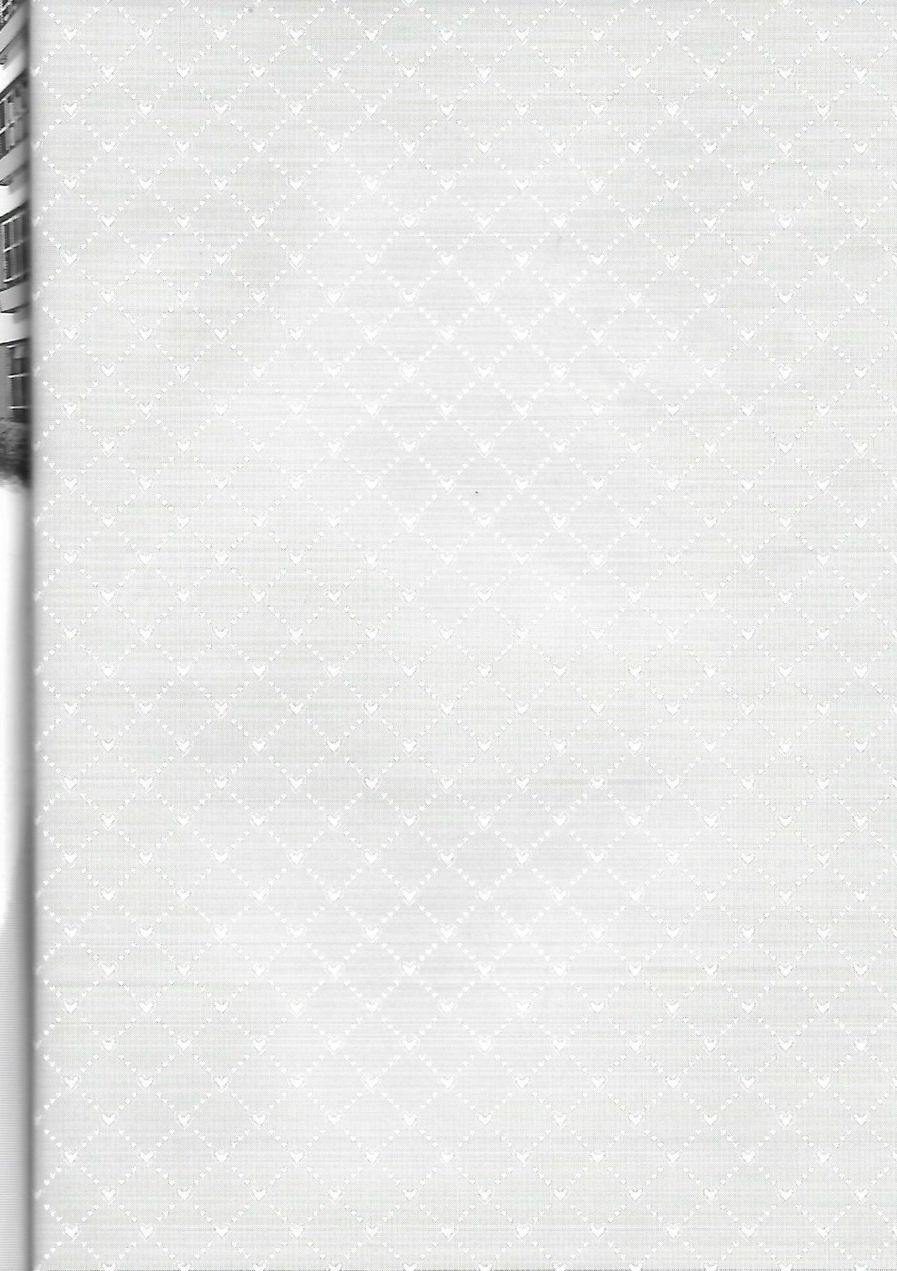 Nii-san MOTTO page 3 full