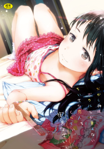 Dakara Kami-sama, Boku ni shika Mienai Chiisana Koibito o Kudasai. cover