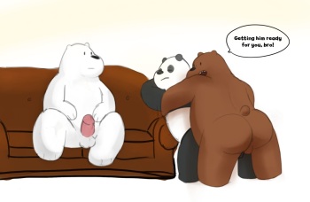 We Bare Bears cover