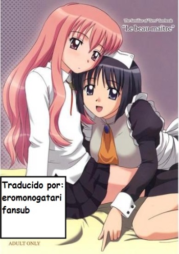 Le beau maître cover