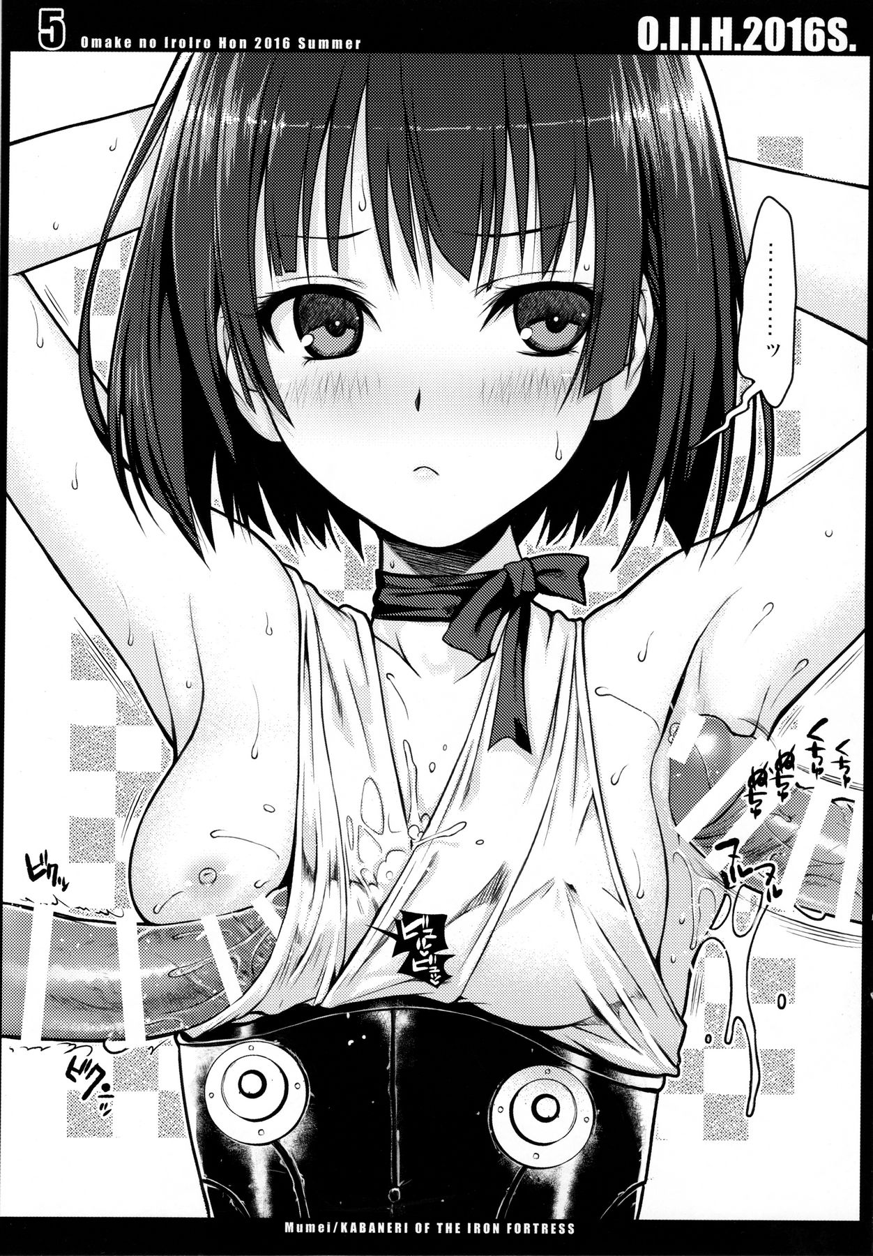 O.I.I.H.2016S. page 5 full