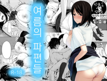 Natsu no Otoshigo cover
