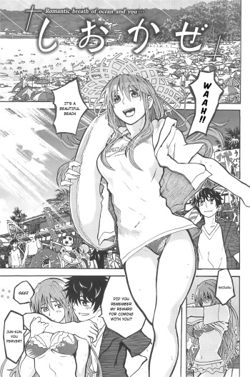 Shiokaze cover