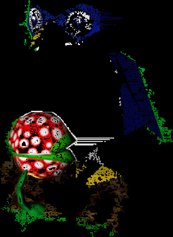 Pulchritudinous Piranha Plant Profusion cover