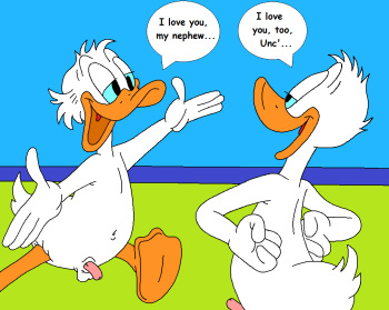 Kissing Ducks cover