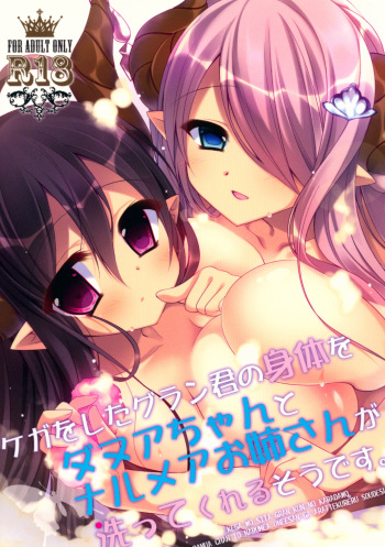 Kega o Shita Gran-kun no Karada o Danua-chan to Narumea Onee-san ga Aratte Kureru Sou desu. cover