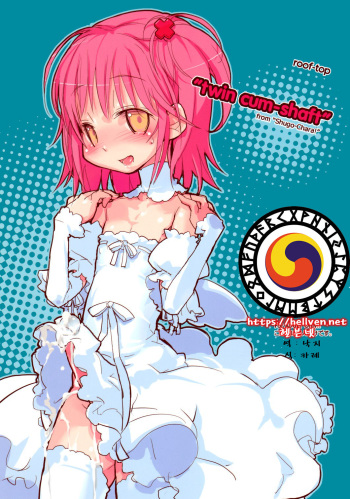 "Twin Cum-Shaft" cover