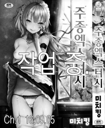 Shujuu Ecstasy - Sexual Relation of Master and Servant. Ch.1 cover