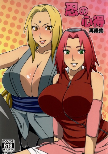 Shinobi no Kokoroe cover