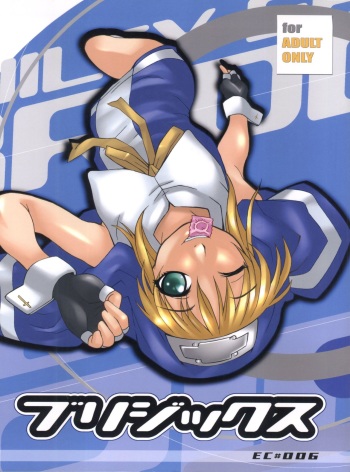 Bridgex cover