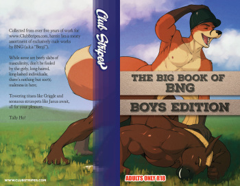 The Big Book of BNG: Boys Edition cover