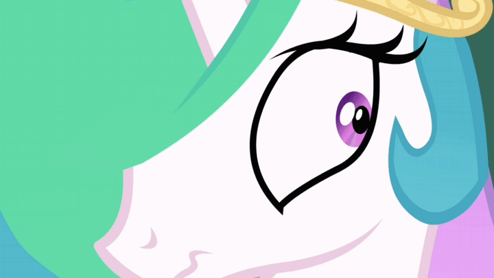 Ponies &amp; A Random Animations page 8 full