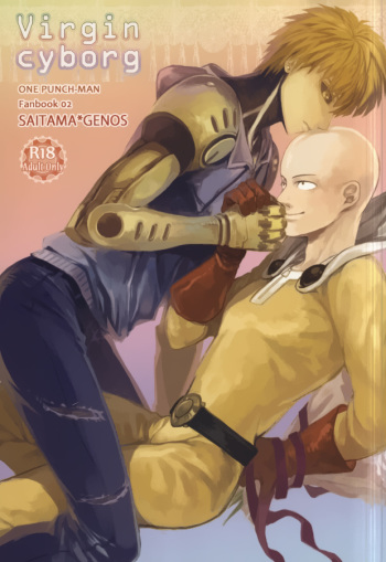 Virgin cyborg cover