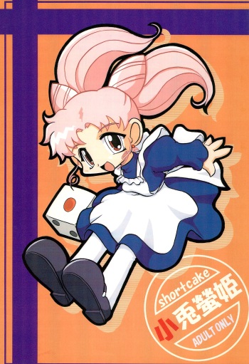 Kousagi Hotaru-hime cover