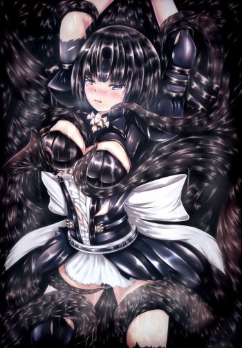 Shadowverse no Hon cover