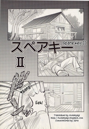 Spare Key 2 cover
