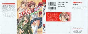 Imouto Punch! Aniki Nante Daikirai cover