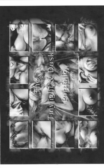 Twilight Dusk to Dawn cover