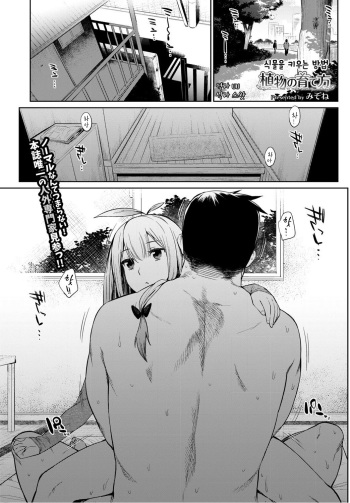Shokubutsu no Sodatekata | 식물을 키우는 방법 cover