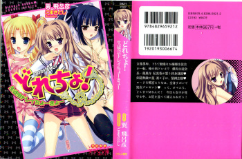 Dore-cho! Seitokai Dorei Choukyou cover