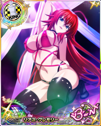 Kintamagt's Highschool DxD Oppai Gallery（201〜250） cover