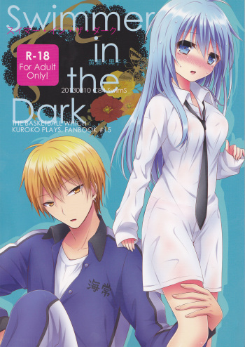 Swimmer in the Dark cover