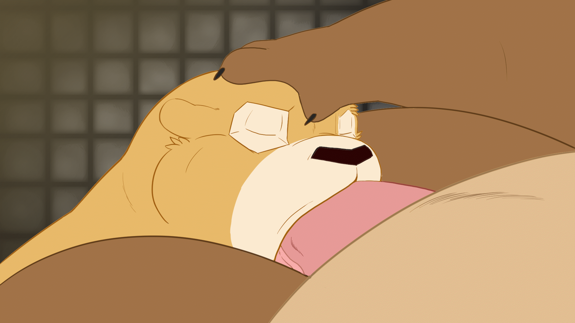 Covering the bill page 5 full