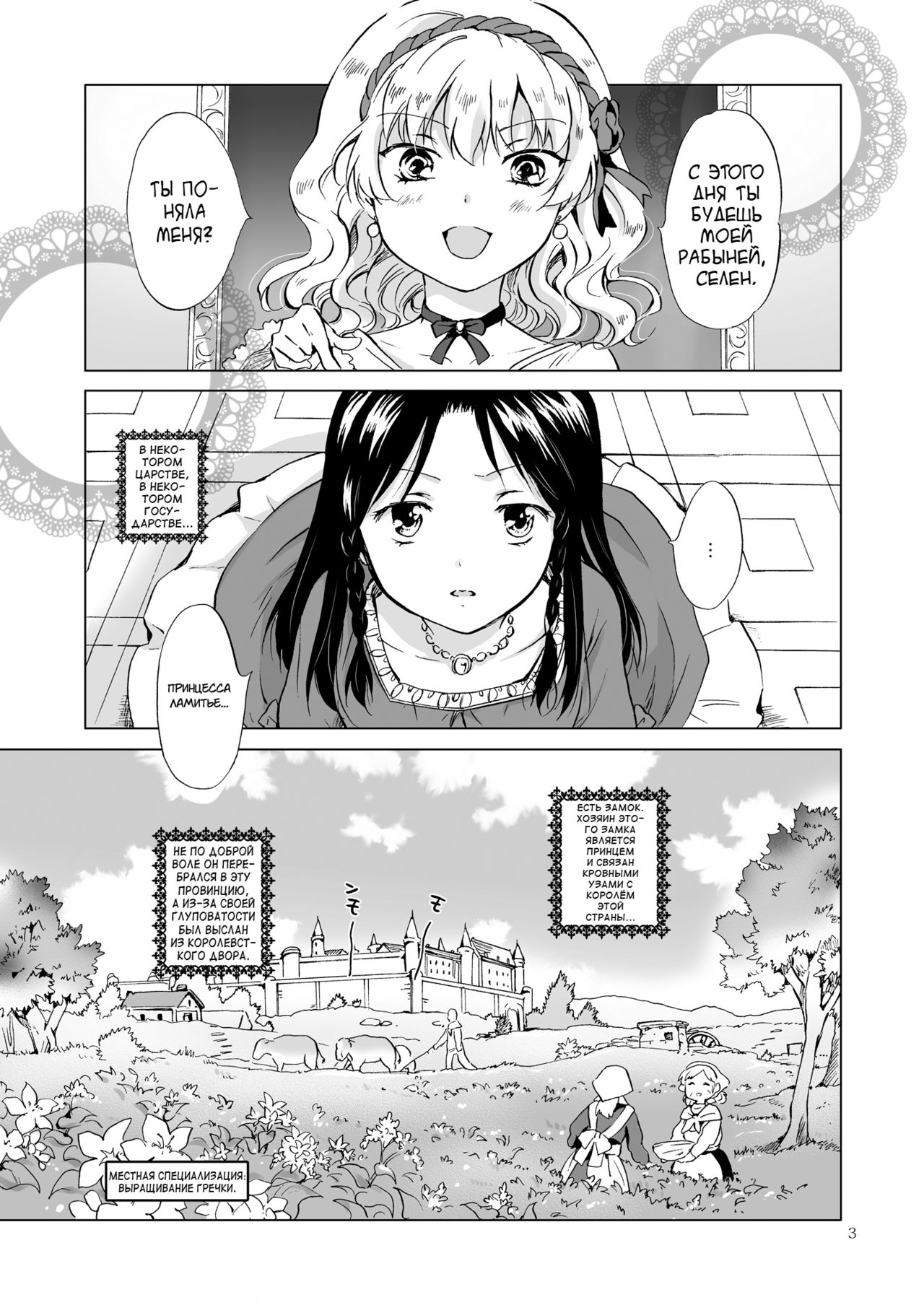Hime-sama to Dorei-chan | Принцесса и её рабыня page 3 full