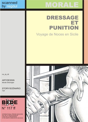 Dressage et Punition cover