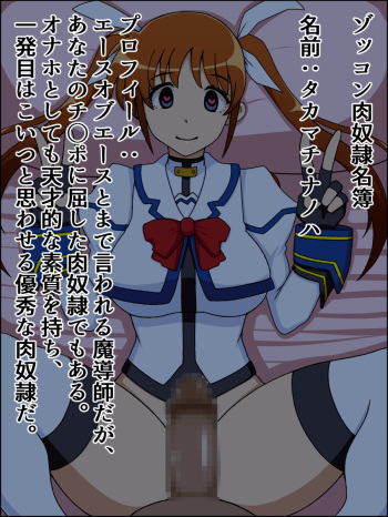 Moshimo Anoko-tachi ga Anata ni Zokkon no Nikudorei Dattara ~ Lyrical Nanoha Hen ~ cover