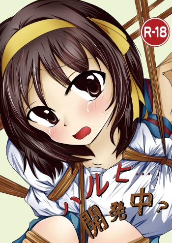 Haruhi... Kaihatsuchuu? cover