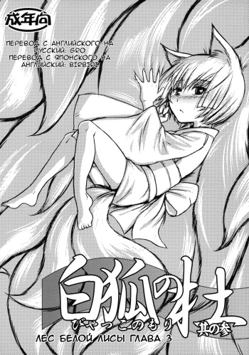 Byakko no Mori Sono San cover
