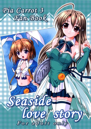 Seaside Love Story cover