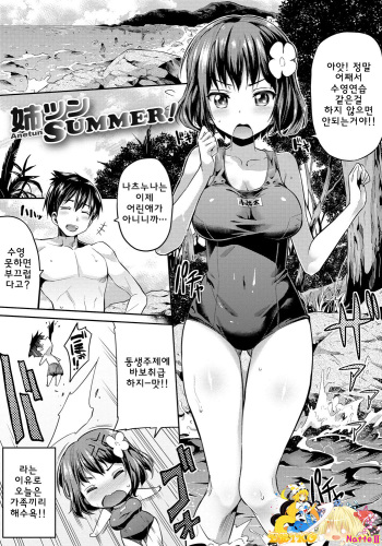 Anetsun Summer! cover