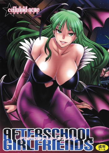 AFTERSCHOOL GIRLFRIENDS cover