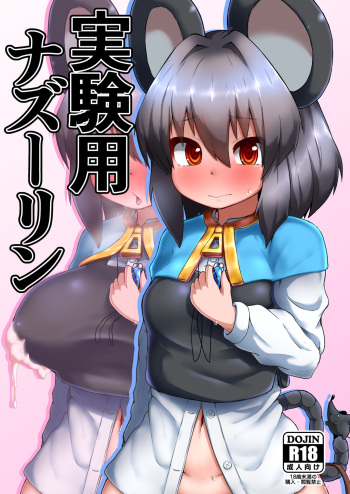Jikkenyou Nazrin cover
