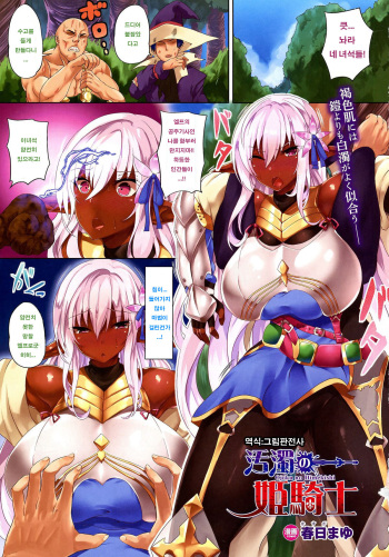 Ojoku no Himekishi cover