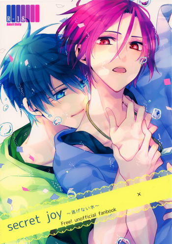 secret joy ~Nigenai Mizu~ cover