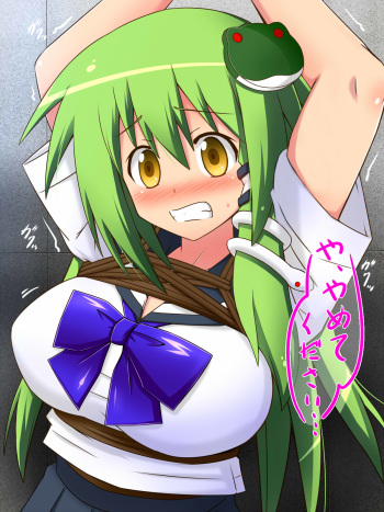 SanaPin! ~Sanae-san Pinch~ cover